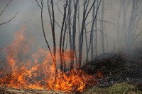 NP Durmitor: Požar se širi u kanjon Tare