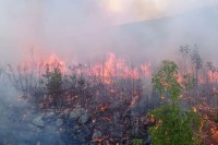 Aktivan požar u rejonu Uvjeća-Zupci u Trebinju