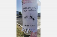 Urnebesan oglas na banderi u Beogradu: Nestali Saša i Raša