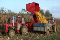 Preduzeće “Novi Žitopromet” počelo otkup ovogodišnjeg roda: Kapije otvorene i za kukuruz