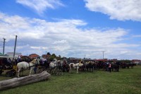 На хиподрому у Градишци одржане "Коњичке игре, изложба коња и фијакера"