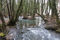 Bosna i Hercegovina ima čak 12 prašuma