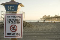 Због изливања нафте калифорнијске плаже пуне мртвих птица и риба