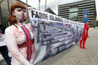 Britanci ljuti na Farane zbog pokolja jata delfina