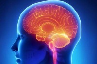 Implantat u mozgu, lijek za tugu?