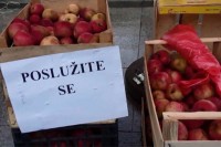 Ostavio pola tone jabuka na gradskom trgu uz poruku "poslužite se"