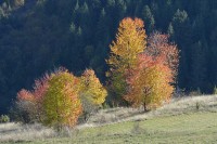 Vrijeme u Srpskoj: Prije podne vedro, poslije podne naoblačenje