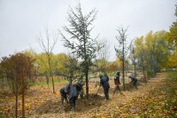 Одобрена градња парка