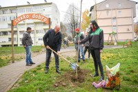 “Еко топлане” у акцији јесење садње