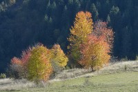 Vrijeme u Srpskoj: Danas umjereno oblačno uz blagi porast temperature