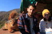 Turska porodica udomila bespomoćnu vjevericu