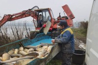 Запосленима и сезонцима у прњаворском “Рибњаку” исплаћена плата и дневнице