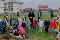 Mališani sadnjom uče o zdravom odnosu prema životnoj sredini