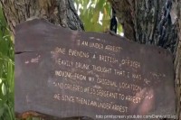 Ухапшено дрво од прије 100 година још издржава казну