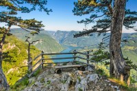 Forbs: Nacionali park "Tara"- mjesto zapanjujuće ljepote na Balkanu
