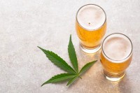 Naučnici: Šta je šetetnije - marihuana ili alkohol