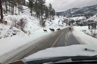 Prestanak padavina i smanjenje oblačnosti