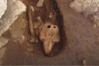 Због мистериозног открића, археолози остали у чуду: "Зашто би неко сахрањивао плискавицу?" VIDEO