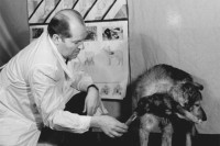 Bizaran eksperiment: Vladimir Demihov, naučnik koji je stvorio dvoglavog psa FOTO/VIDEO