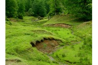 Srbija dobila dva nova nacionalna parka - Stara planina i Kučaj