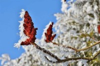 Сутра претежно сунчано и хладно