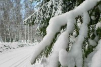 Danas hladno, na planinama i minus 16