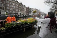 Nacionalni dan tulipana: Uzgajivači u Amsterdamu besplatno dijele cvijeće