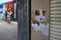 Hong Kong ubija 2.000 životinja,otkrivena korona kod hrčka