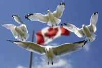 Zašto je Kanada najbolja zemlja za život na svijetu?