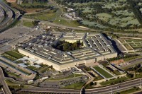 Kokoška pokušala da uđe Pentagon – uhapsili je FOTO
