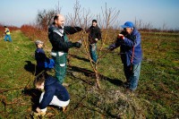 Voćari plaćaju danak klimatskim promjenama