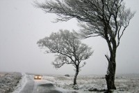 Nadležne službe u pripravnosti zbog najave nevremena