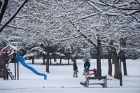 Pretežno oblačno, temperatura do sedam stepeni