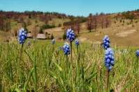 Данас сунчано и прохладно