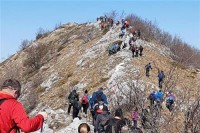 Planinari uživali u pogledu sa Dimitora