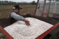 Turska spremna obezbijediti 25.000 tona mineralnog đubriva