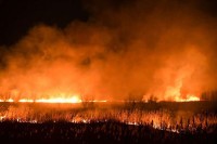 PU Doboj: Devet požara evidentirano tokom dva dana