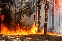 Veliki požar u selu Brani Do kod Trebinja, vatrogasci brane kuće