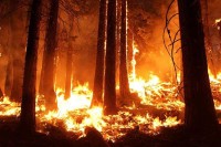 Veće površine izgorjele u požarima u Modriči, Stanarima, Brodu i Doboju
