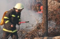 Ugašena dva požara na području Trebinja