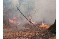 Požarima u Foči nema kraja, sumnja se na piromane