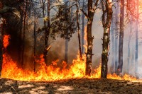 У Херцеговини угашено десет пожара, активна још четири