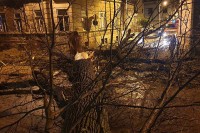 Срушио се стари храст и блокирао двије улице у Бијељини