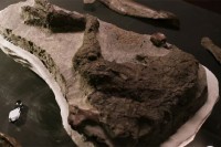Пронађен први фосил диносауруса директно повезан са ударом астероида