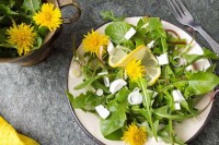 Sezona maslačka: Kako napraviti jednostavnu salatu