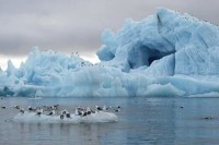 Najveća naučna ekspedicija na Arktiku u posljednjih 30 godina