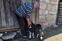 Posljednjom parom Zoran Jovičić iz Rogatice oživio imanje