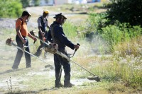 Sva naselja biće pokošena do polovine maja