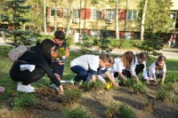 Nastavak velike akcije “Čisto lice grada”: Uređivanje u naseljima Lauš i Pobrđe