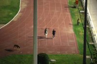 Делхи: Утицајни супружници затворили стадион да би шетали пса